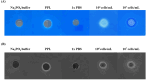 Fig. 9