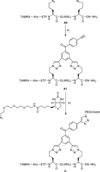 Scheme 3