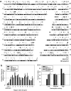 <b>Figure 5</b>