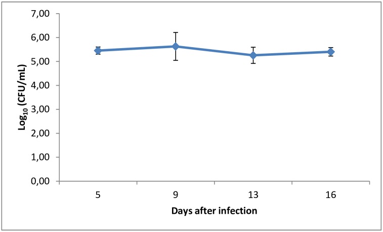 Fig 3