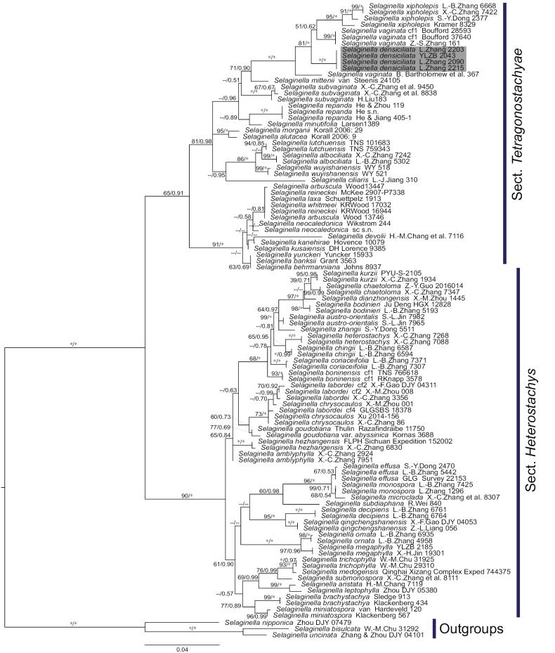 Figure 1.