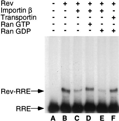 FIG. 6