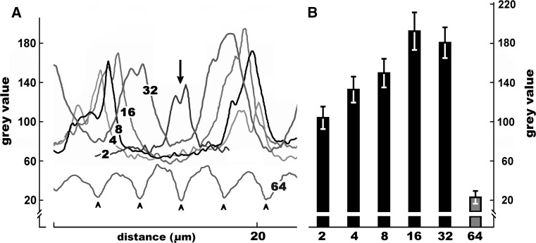 Fig. 3