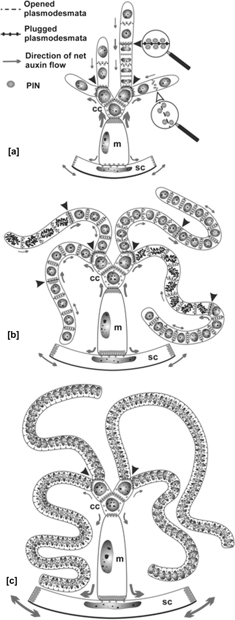 Fig. 9