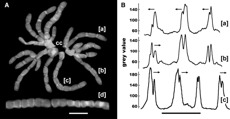 Fig. 4