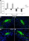 Figure 11.