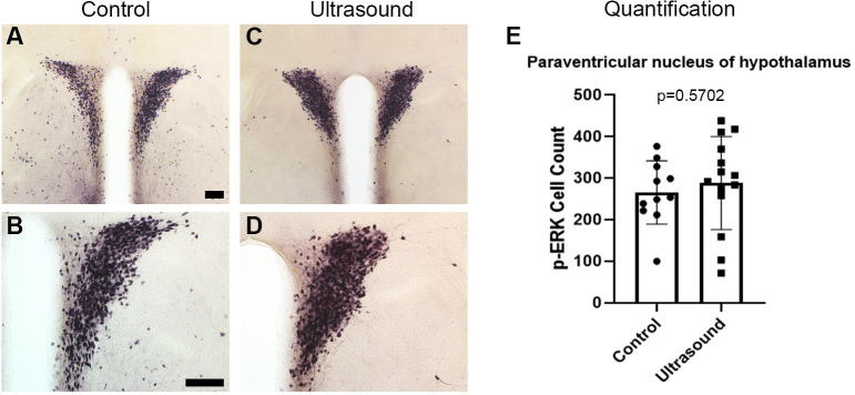 Figure 1—figure supplement 3.