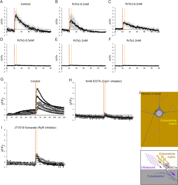 Figure 3—figure supplement 1.