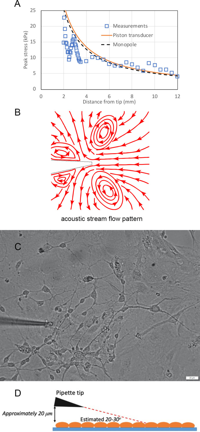 Figure 2—figure supplement 1.