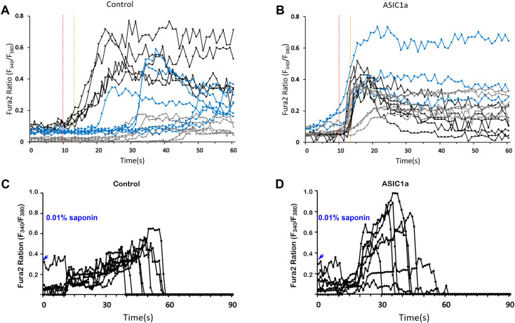 Figure 4—figure supplement 1.