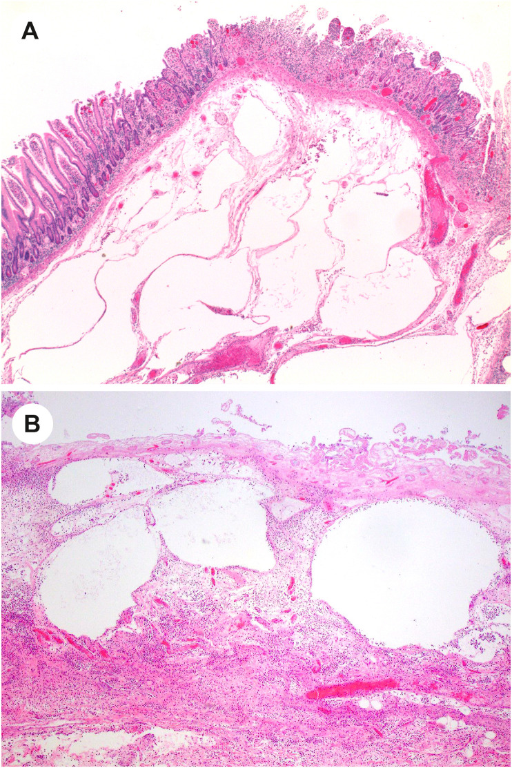 Fig. 5