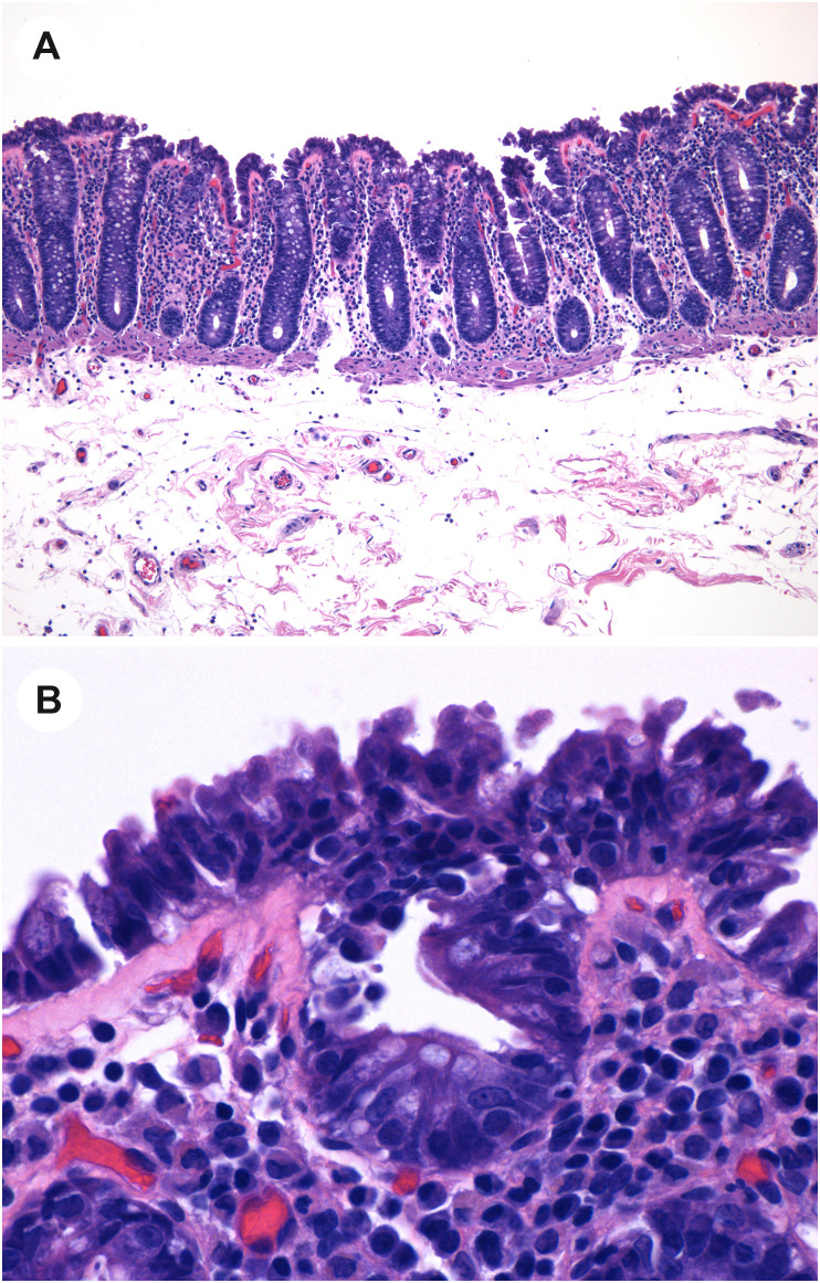 Fig. 7