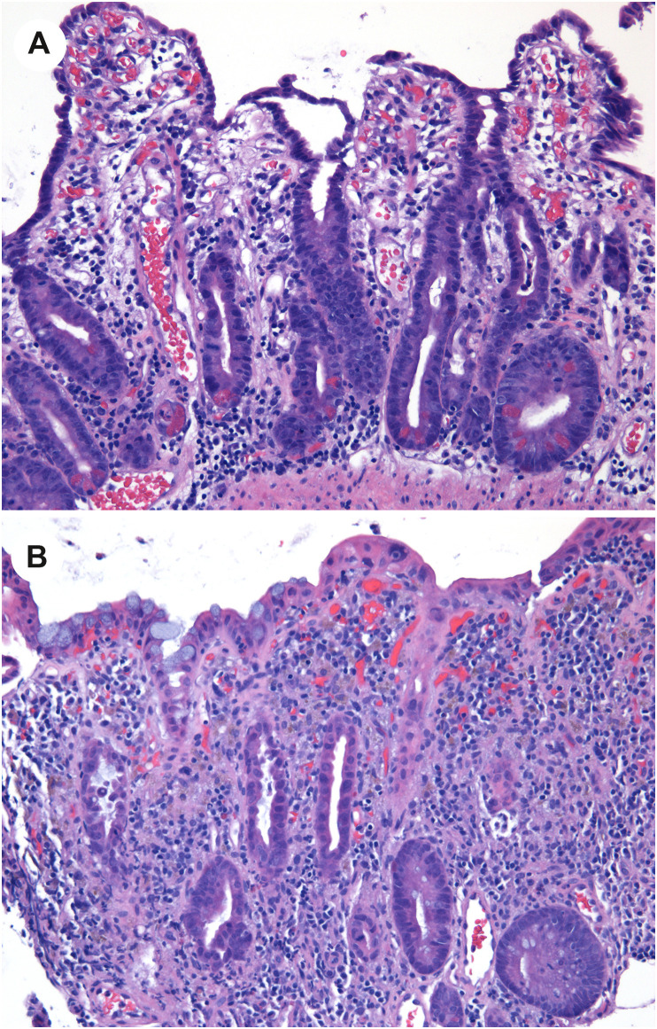 Fig. 8