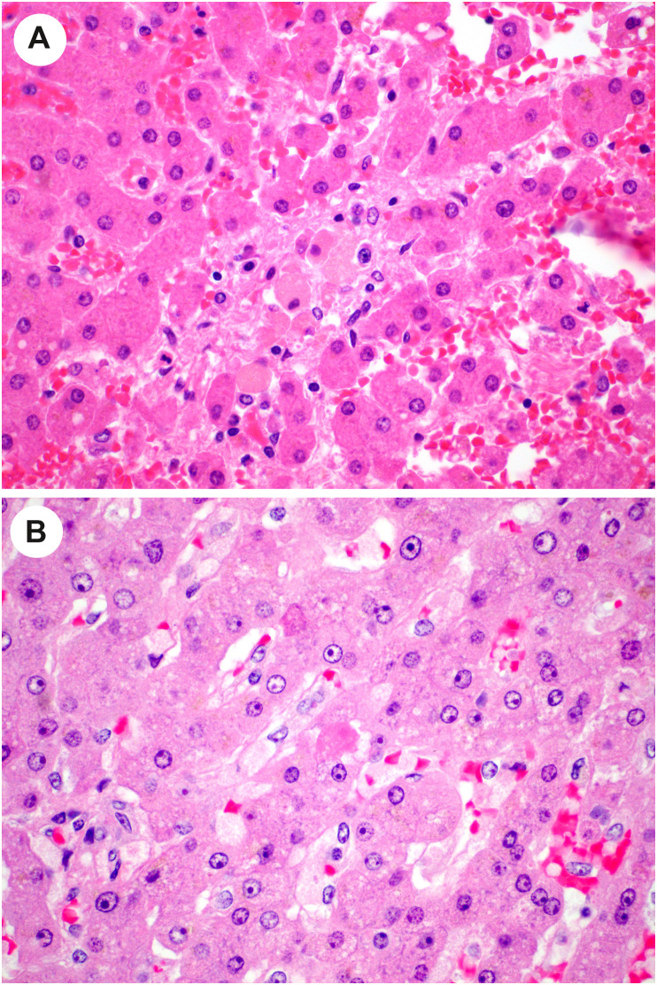 Fig. 10