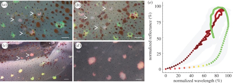 Figure 3.