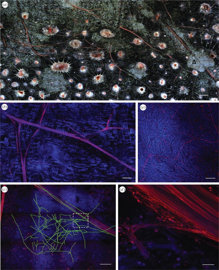 Figure 4.