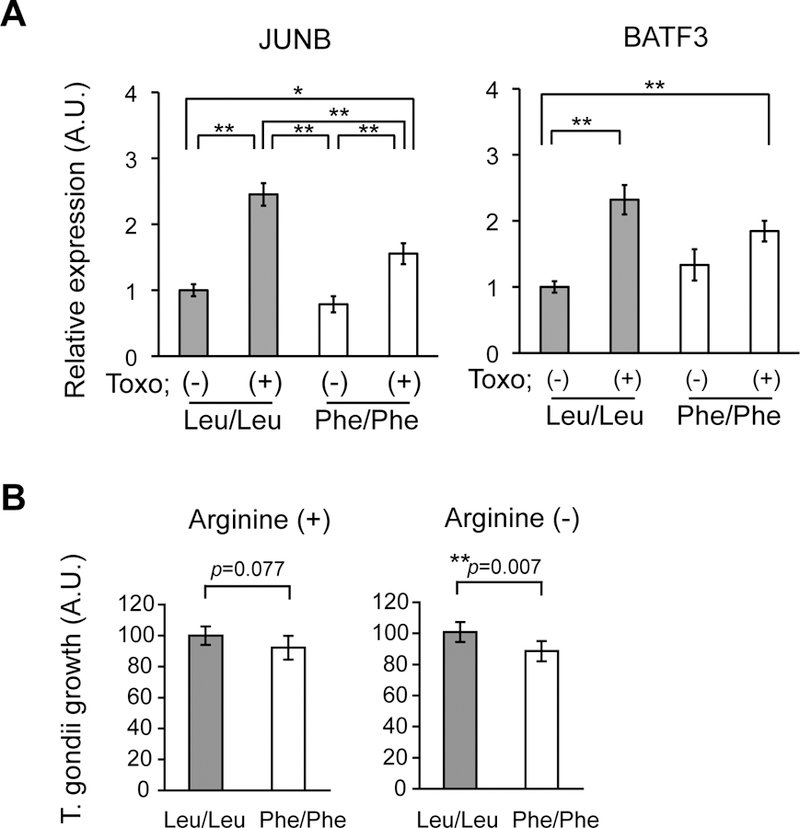 Figure 4: