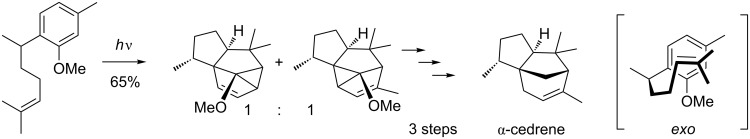 Scheme 13