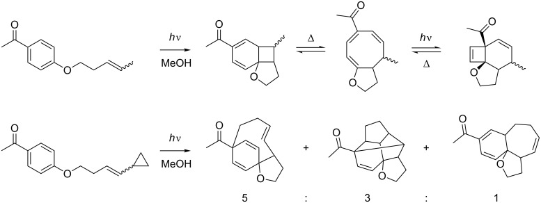 Scheme 23