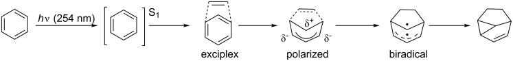 Scheme 5