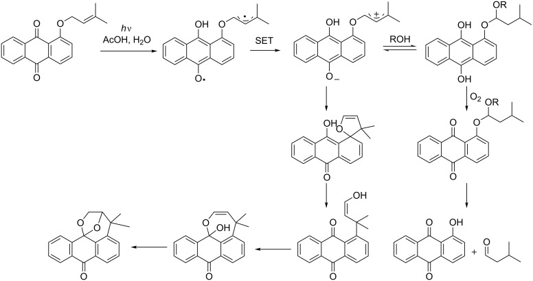 Scheme 37