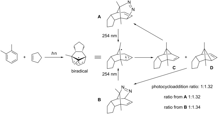 Scheme 6