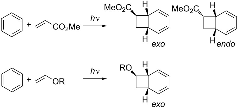 Scheme 22