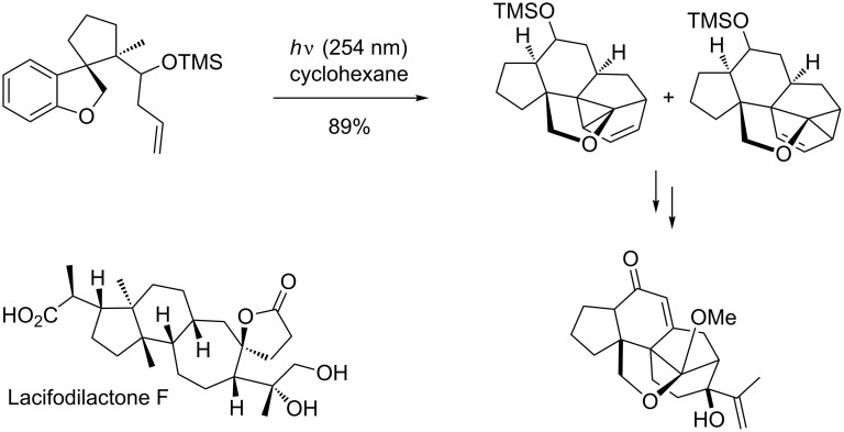 Scheme 20