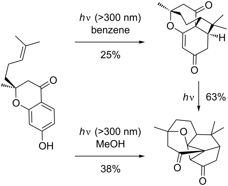 Scheme 28