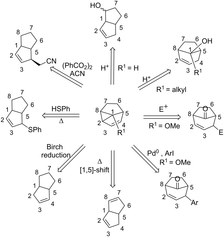 Scheme 17