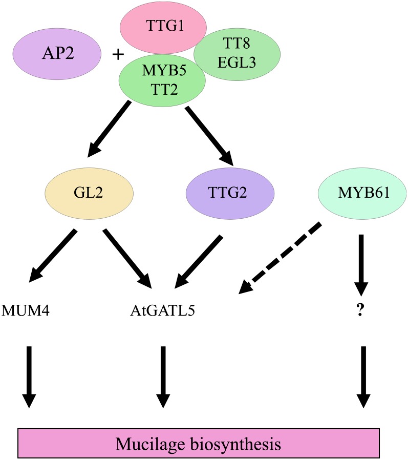 Figure 7.