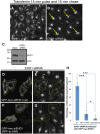 Fig 8