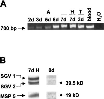 FIG. 5.