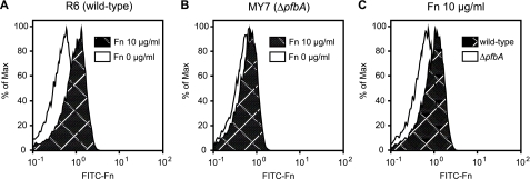 FIGURE 3.