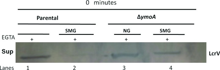 FIG. 5.