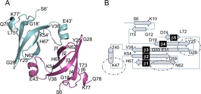 Fig 4