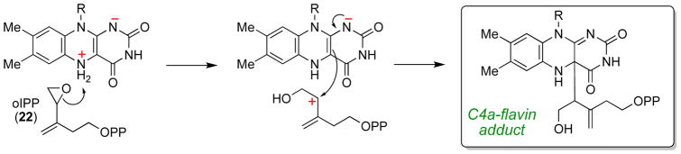 Scheme 10