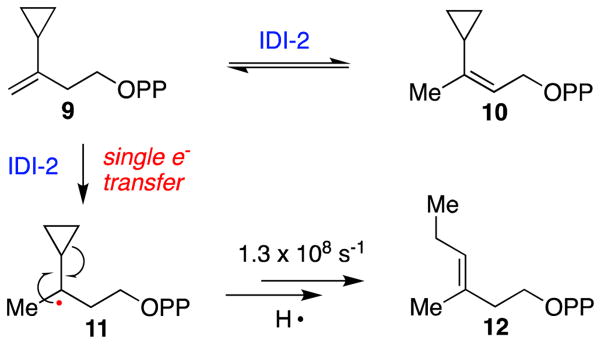 Scheme 6