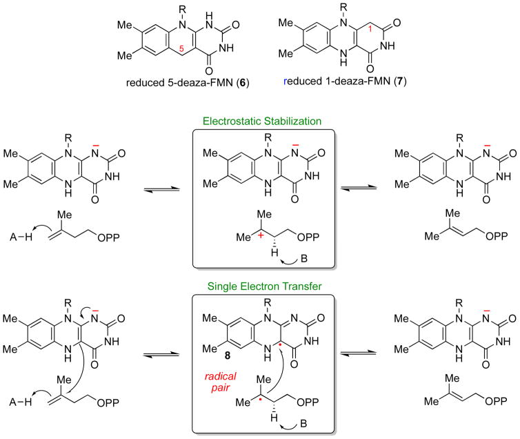 Scheme 5