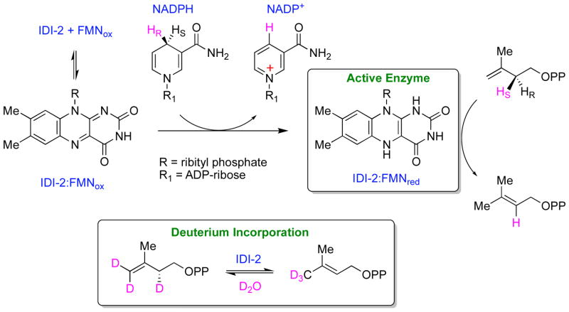 Scheme 4