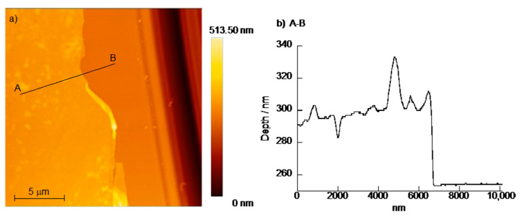 Figure 6