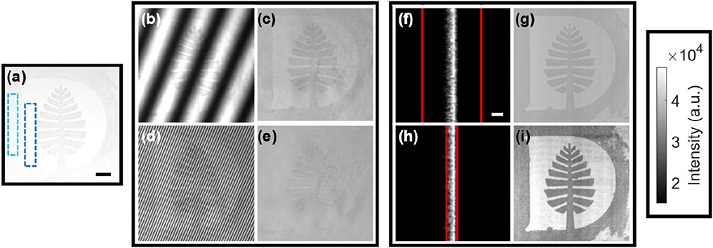 Fig. 5.