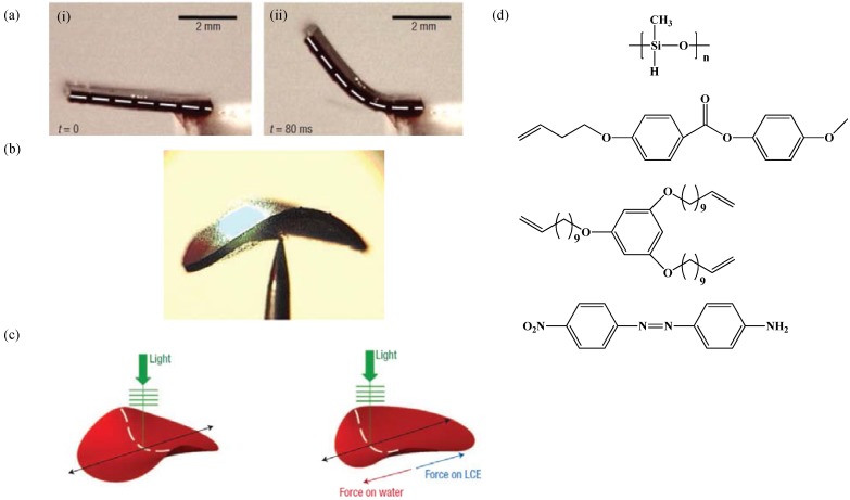 Figure 14