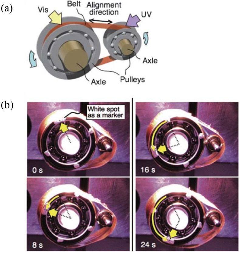 Figure 19