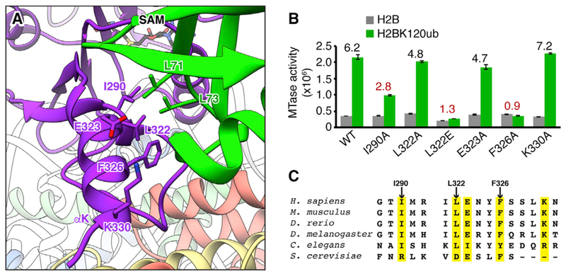 Figure 3.