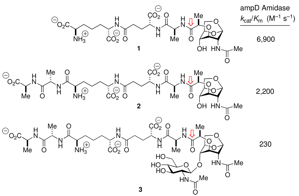 Scheme 6