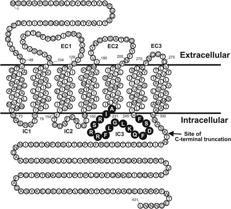 Fig. 1.