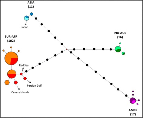 Fig. 3