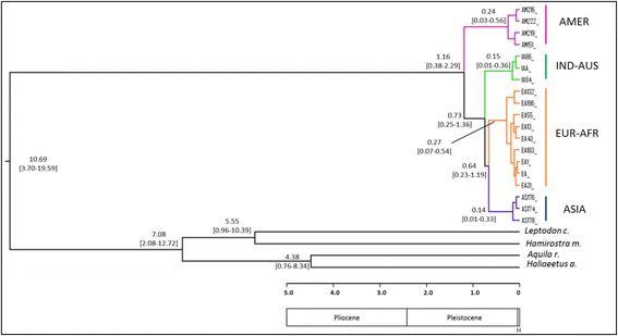 Fig. 5