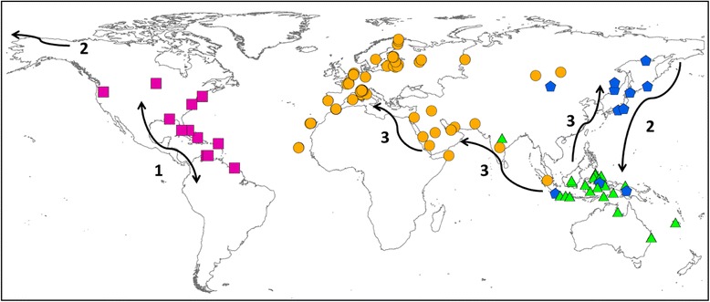 Fig. 7